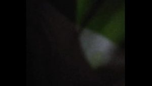 Bokep Viral