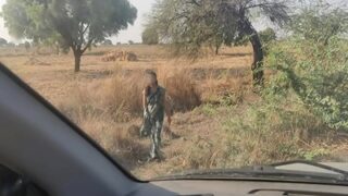 Traveler Ngaceng Sama Lonte Desi Di Film Biru India